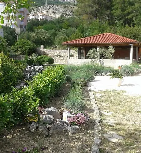 Sulenta *