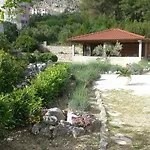 Sulenta *